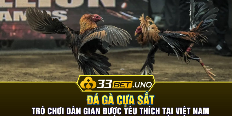 Đá Gà Cựa Sắt - Trò Chơi Dân Gian Được Yêu Thích Tại Việt Nam