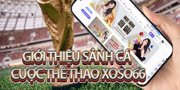 Lựa chọn thể thao tại xoso66 mang đến nhiều kèo chất lượng